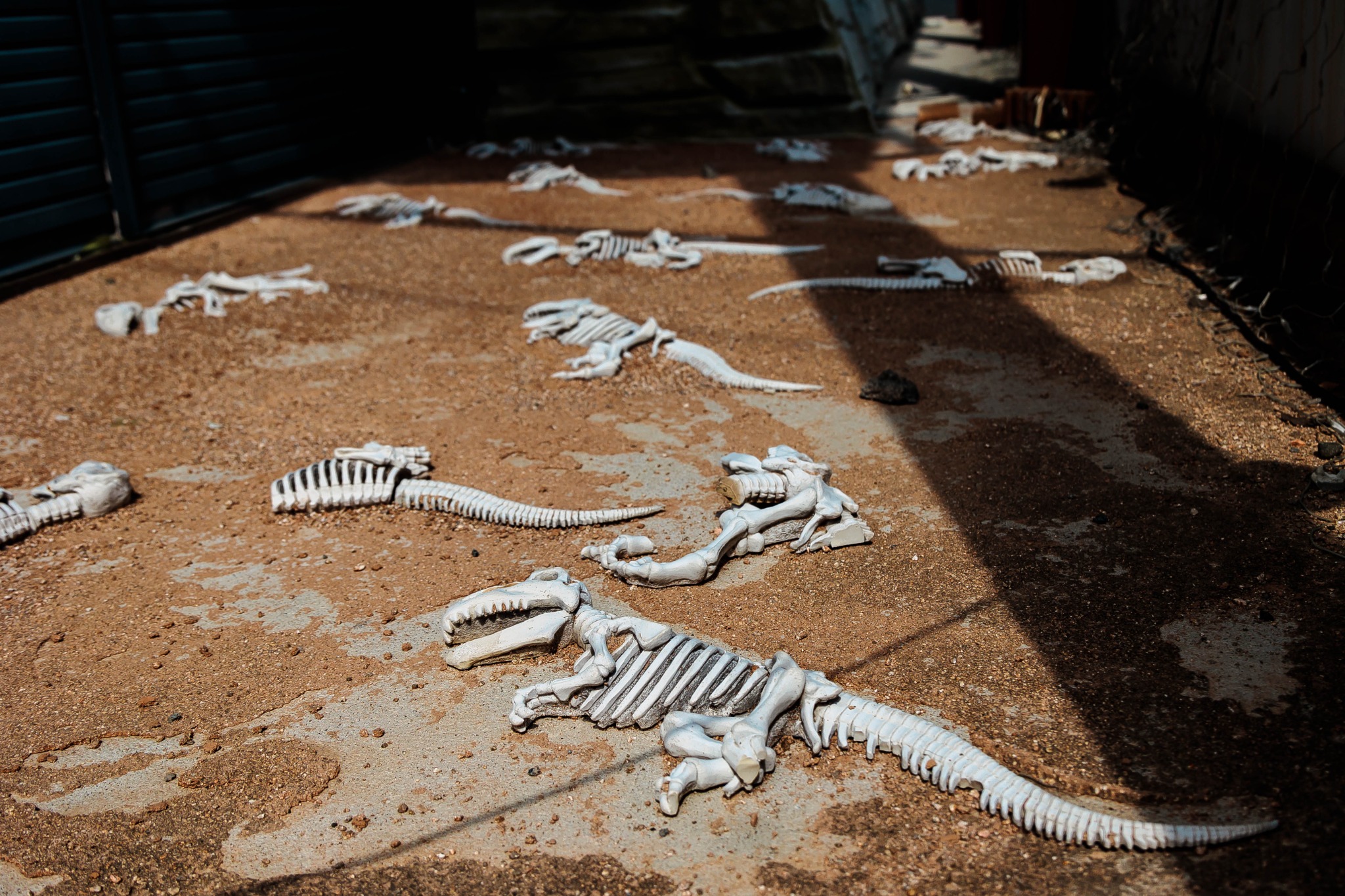 Dinosaur bones displayed at ground level in the restaurant scenery.