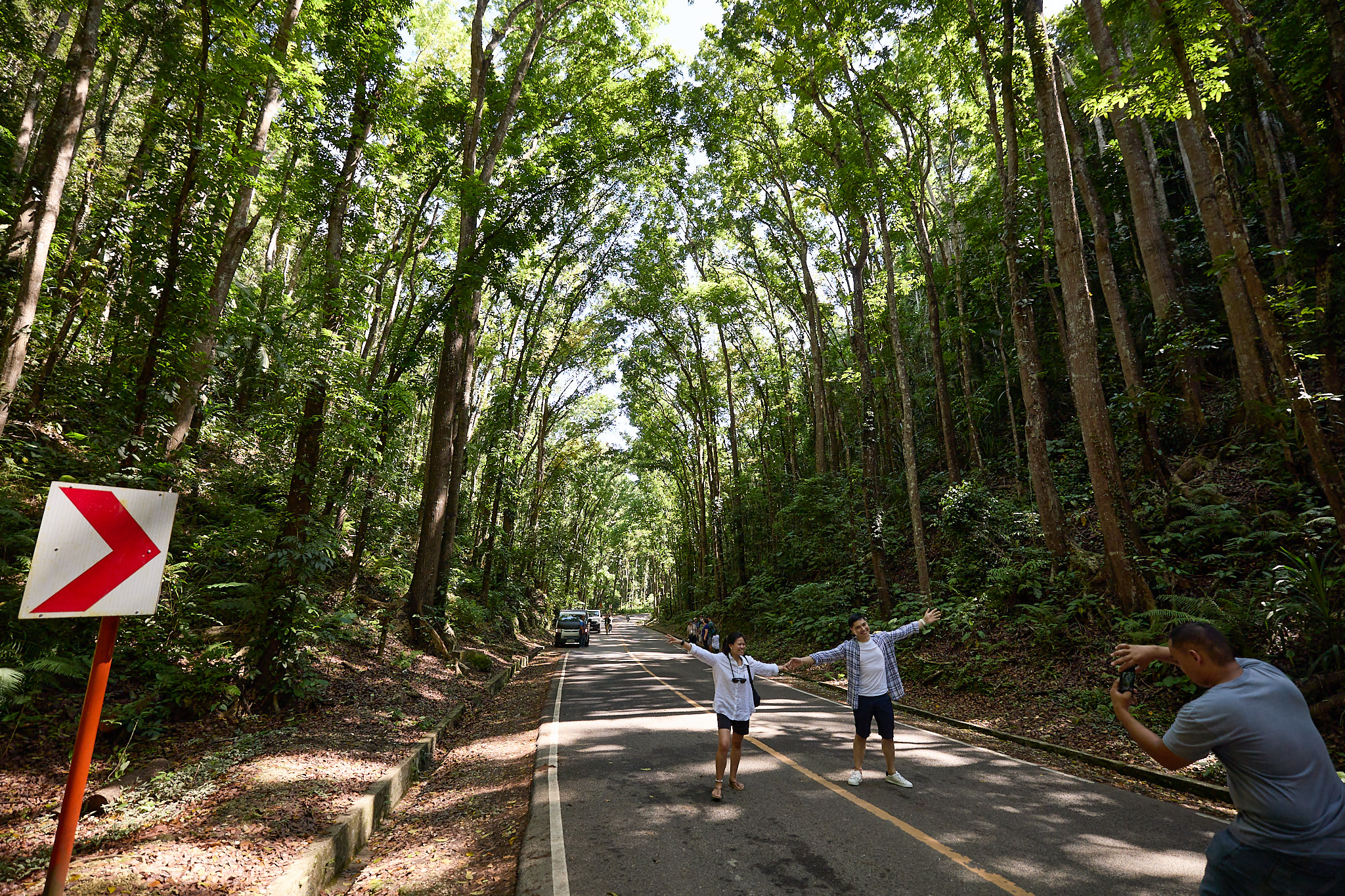 A woman and a man stand in the middle of a road lined with tall trees, arms spread wide, as a man in the foreground photographs them on his phone. A red chevron sign stands on the left.