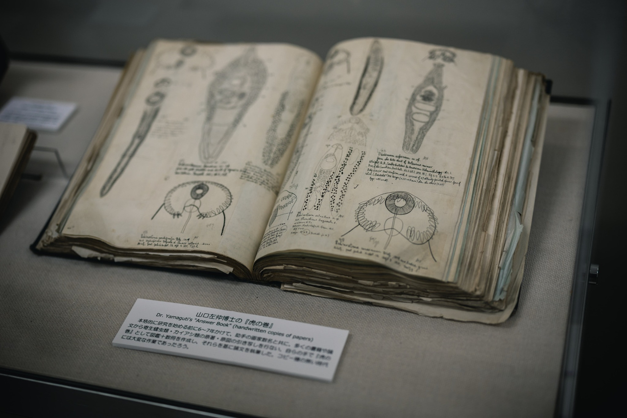 An open volume of parasitologist Satyu Yamaguti’s handwritten reference notes, with detailed drawings of parasites.