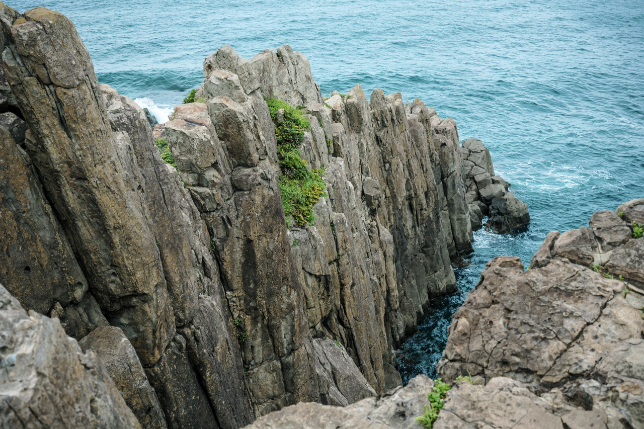 Vertical columnar-jointed rock formations forming the cliff face at Tojinbo.