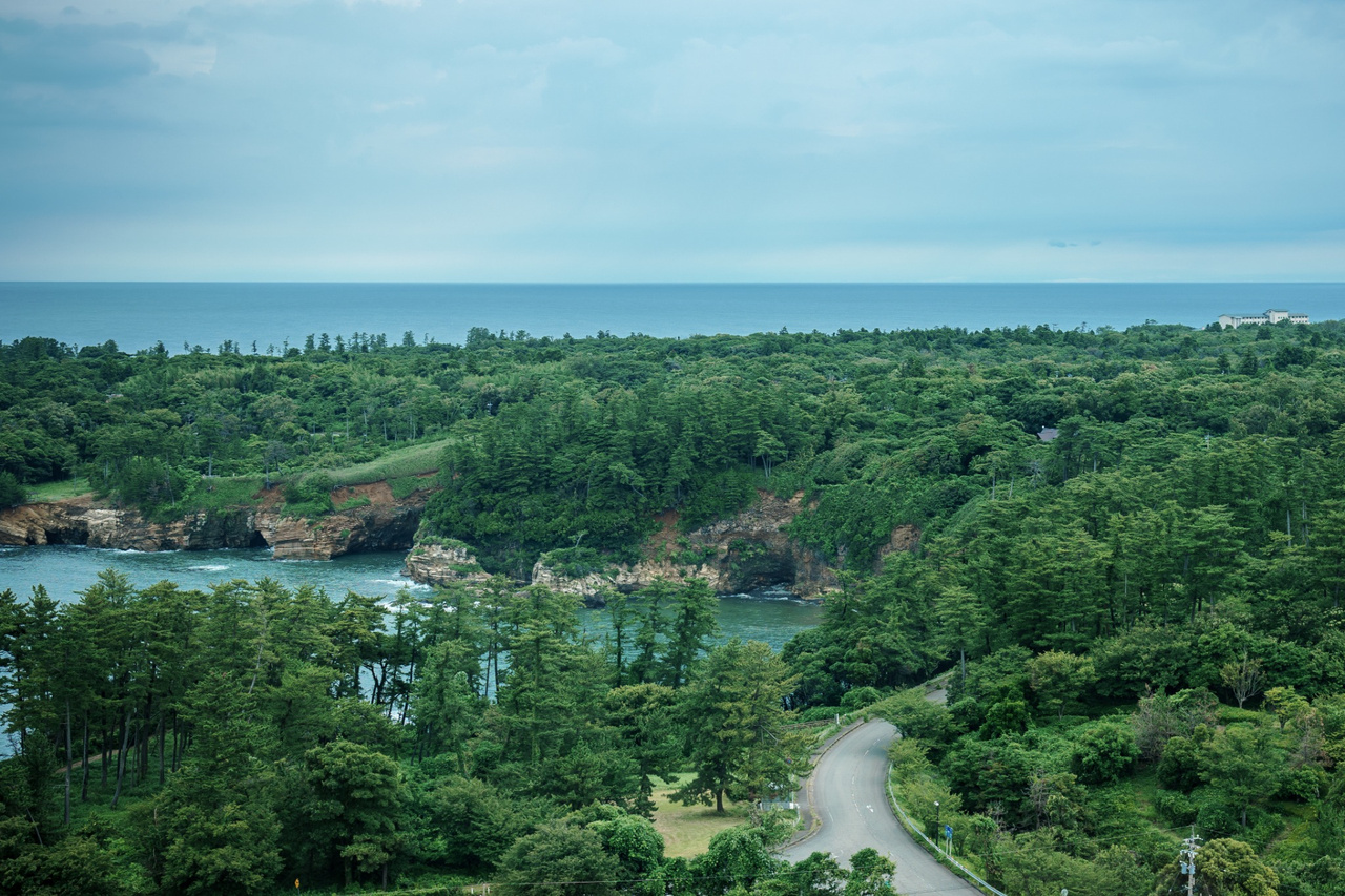 Coastal landscape and trees seen from Tojinbo Tower, with the famous Tojinbo cliff face hidden from view.