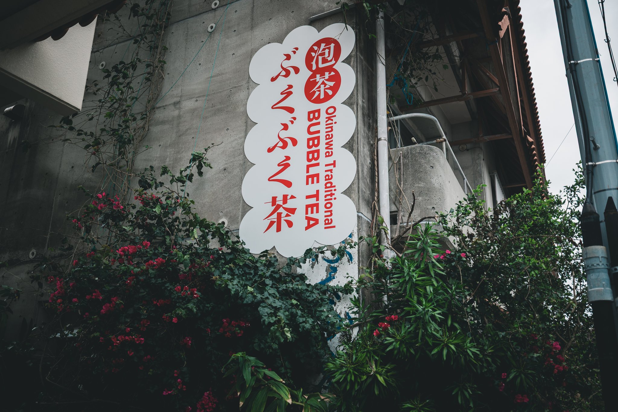 A white cloud-shaped sign on a concrete wall reading 泡茶 and ぶくぶく茶 in red, with “Okinawa Traditional BUBBLE TEA” in English, above bougainvillea and other greenery