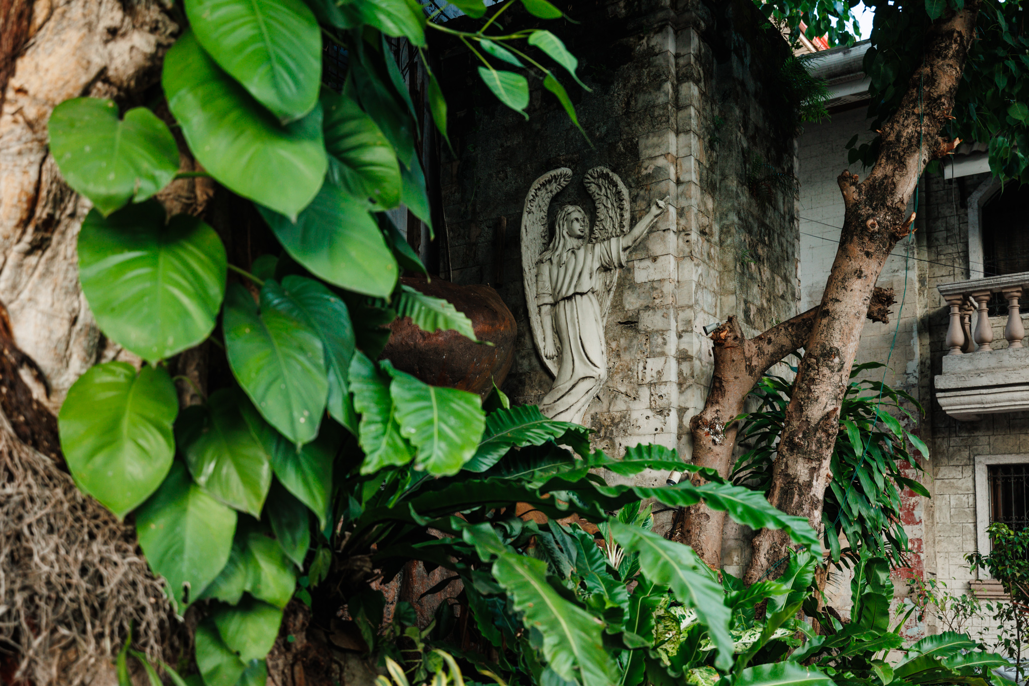 A carved angel with spread wings pointing upward on a weathered stone wall, half hidden by large green leaves and tree trunks