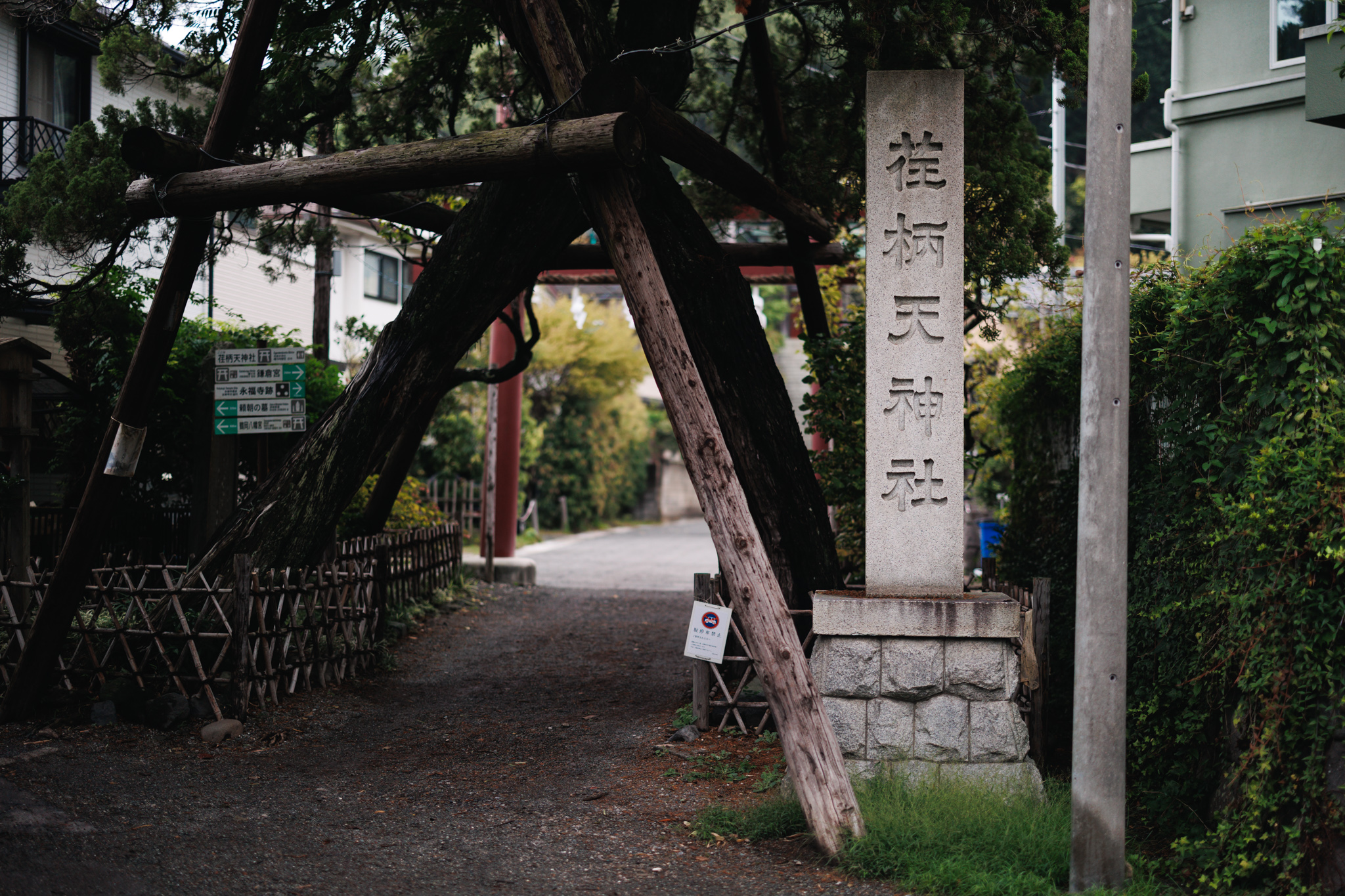 Stone marker for Egara Tenjin Shrine beside an old tree propped up on wooden supports, with a red torii beyond