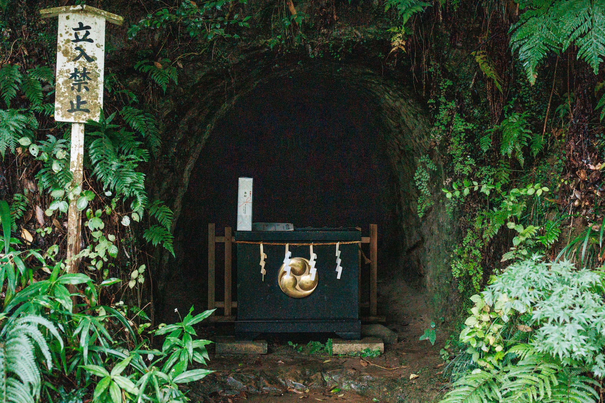 A yagura tunnel in a fern-covered hillside, with a black box bearing a gold crest at its mouth and a keep-out sign