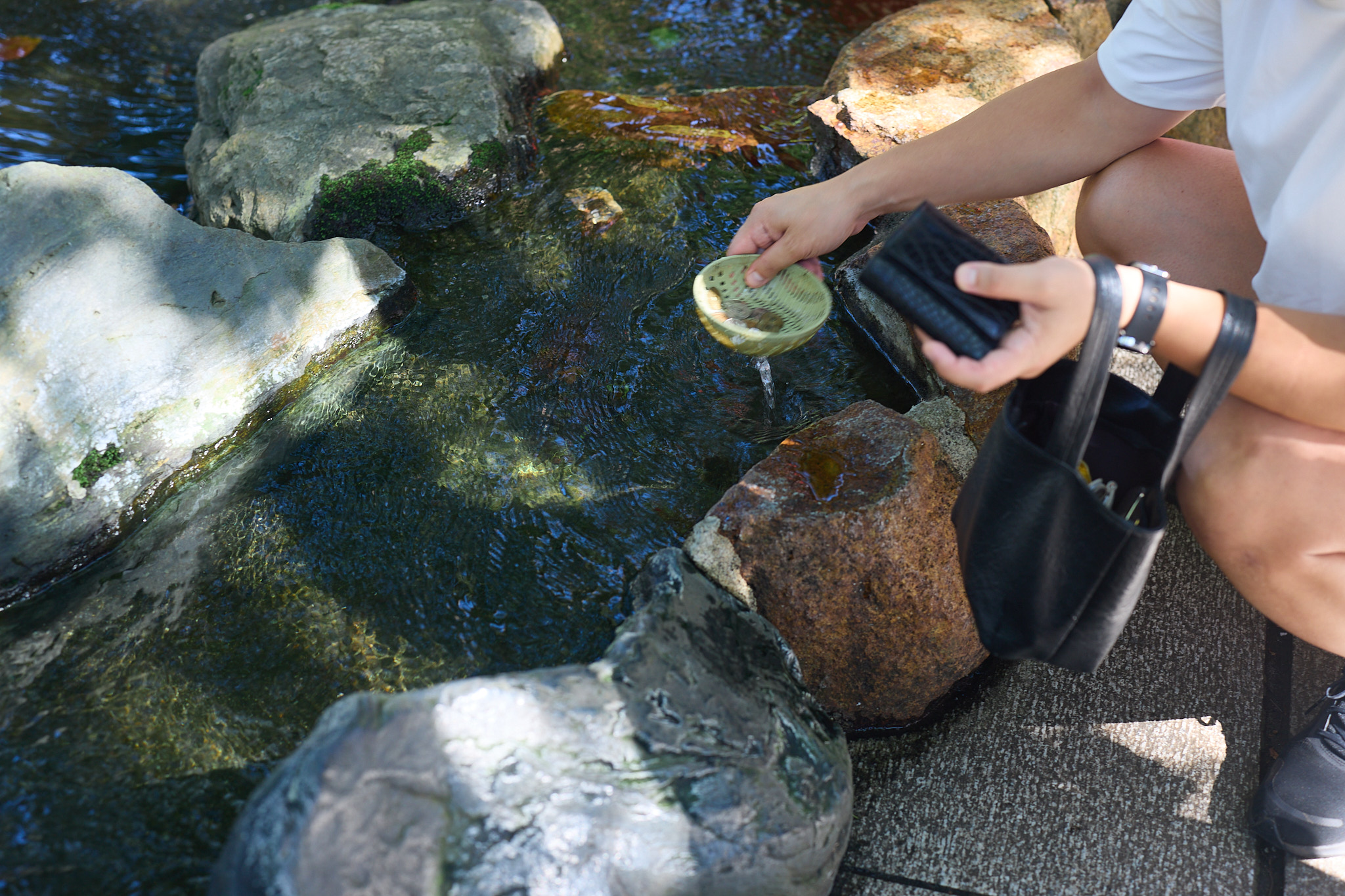 A crouching visitor holding a small green basket of coins in clear water between rocks, a wallet in the other hand