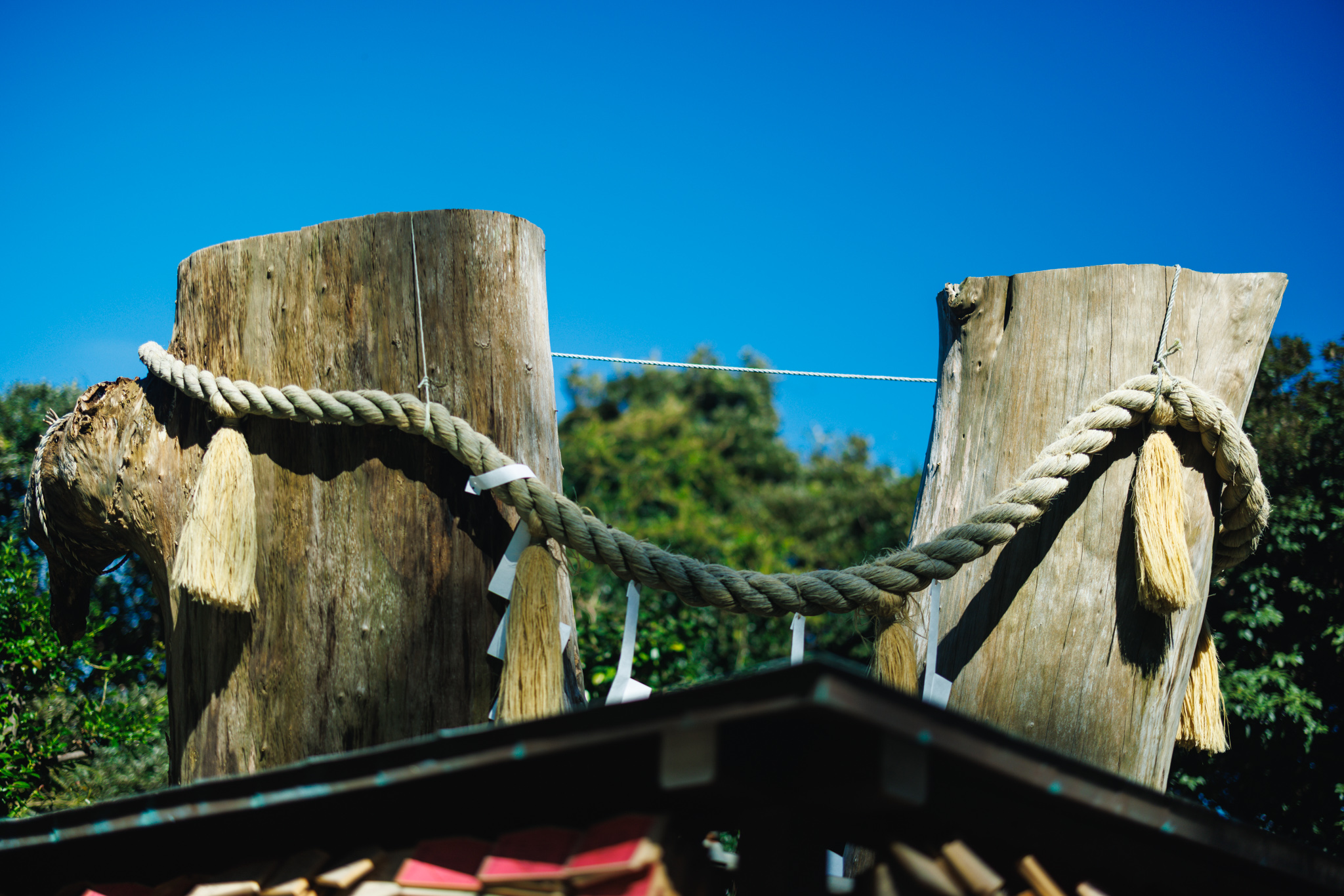 Close view of two weathered, flat-topped tree trunks against a blue sky, a sacred rope with straw tassels and paper streamers hanging between them