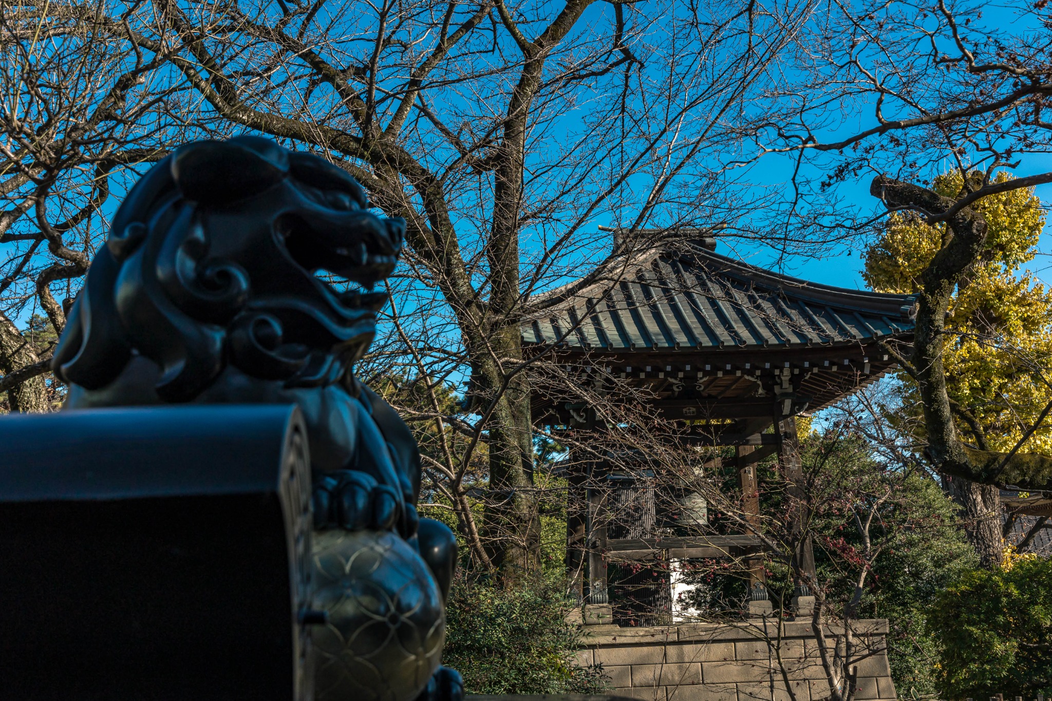 A bronze shishi on the incense burner at Gotokuji Temple, with the bell tower behind it.