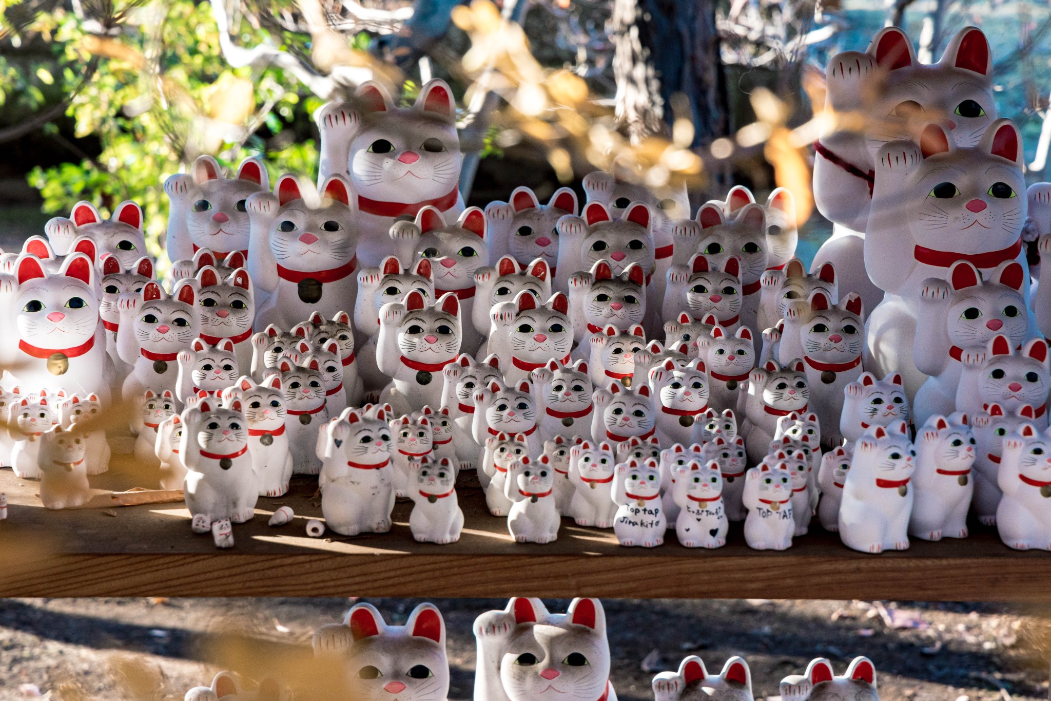 Rows of white maneki-neko at Gotokuji Temple seen through autumn leaves in Tokyo.