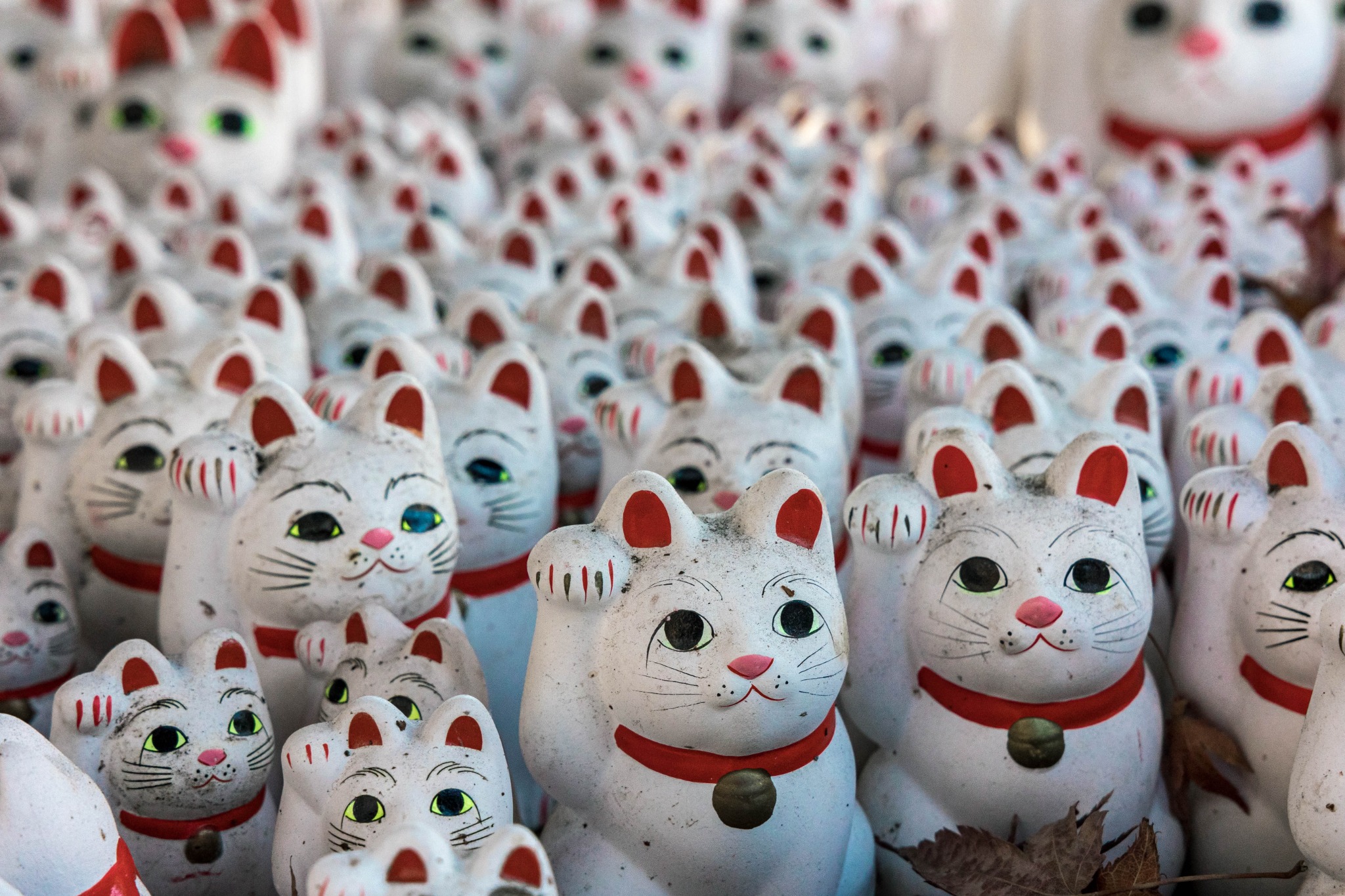Weathered white maneki-neko figures packed together outdoors at Gotokuji Temple.
