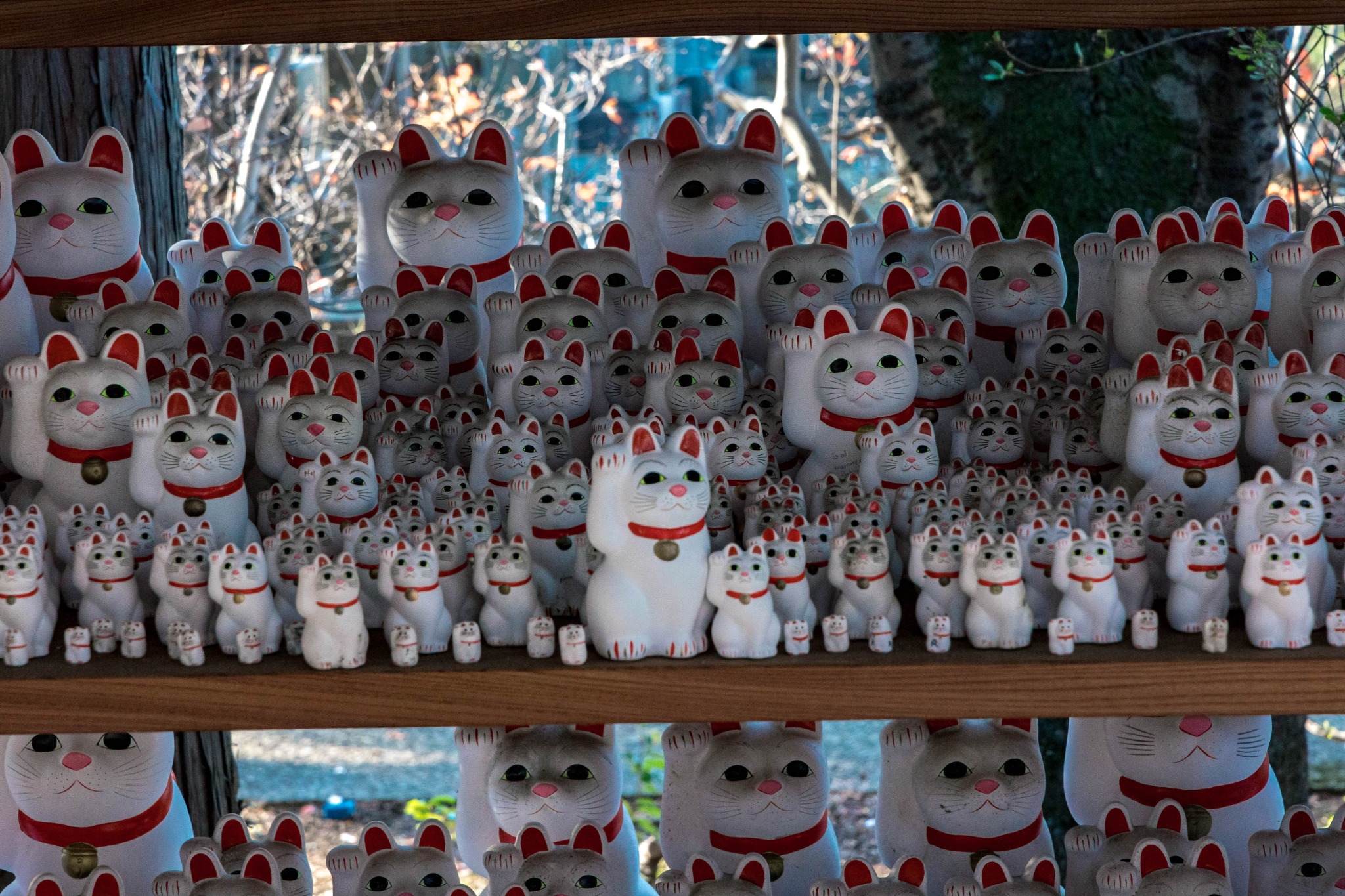 Close view of maneki-neko figures tightly arranged on shelves at Gotokuji Temple.