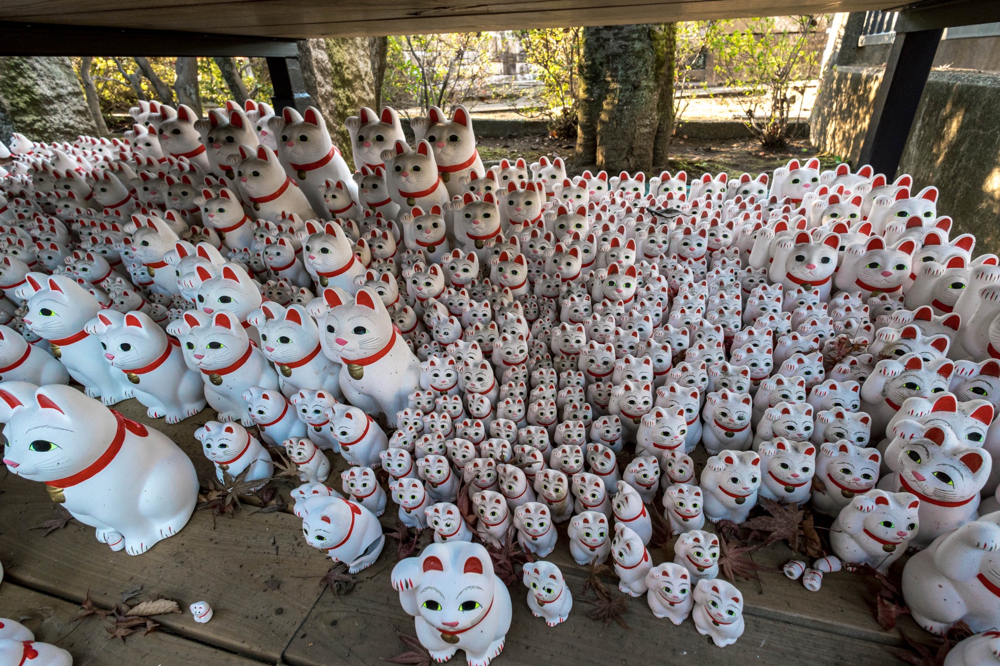 Rows of differently sized maneki-neko figures packed onto shelves at Gotokuji Temple.