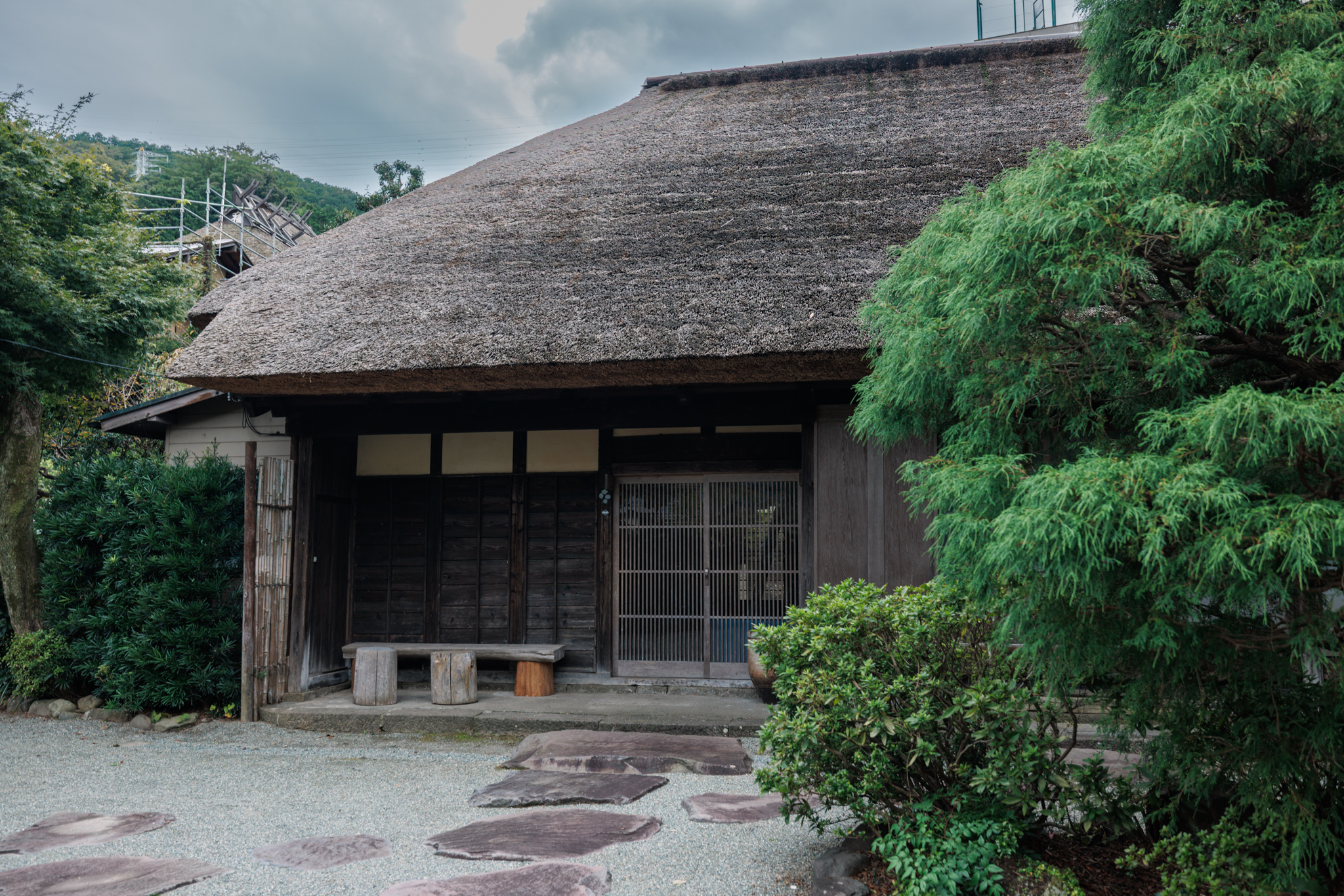 A low building with a thick thatched roof and dark wooden doors and lattice, a bench outside, gravel and stepping stones in front and a pine tree at the right