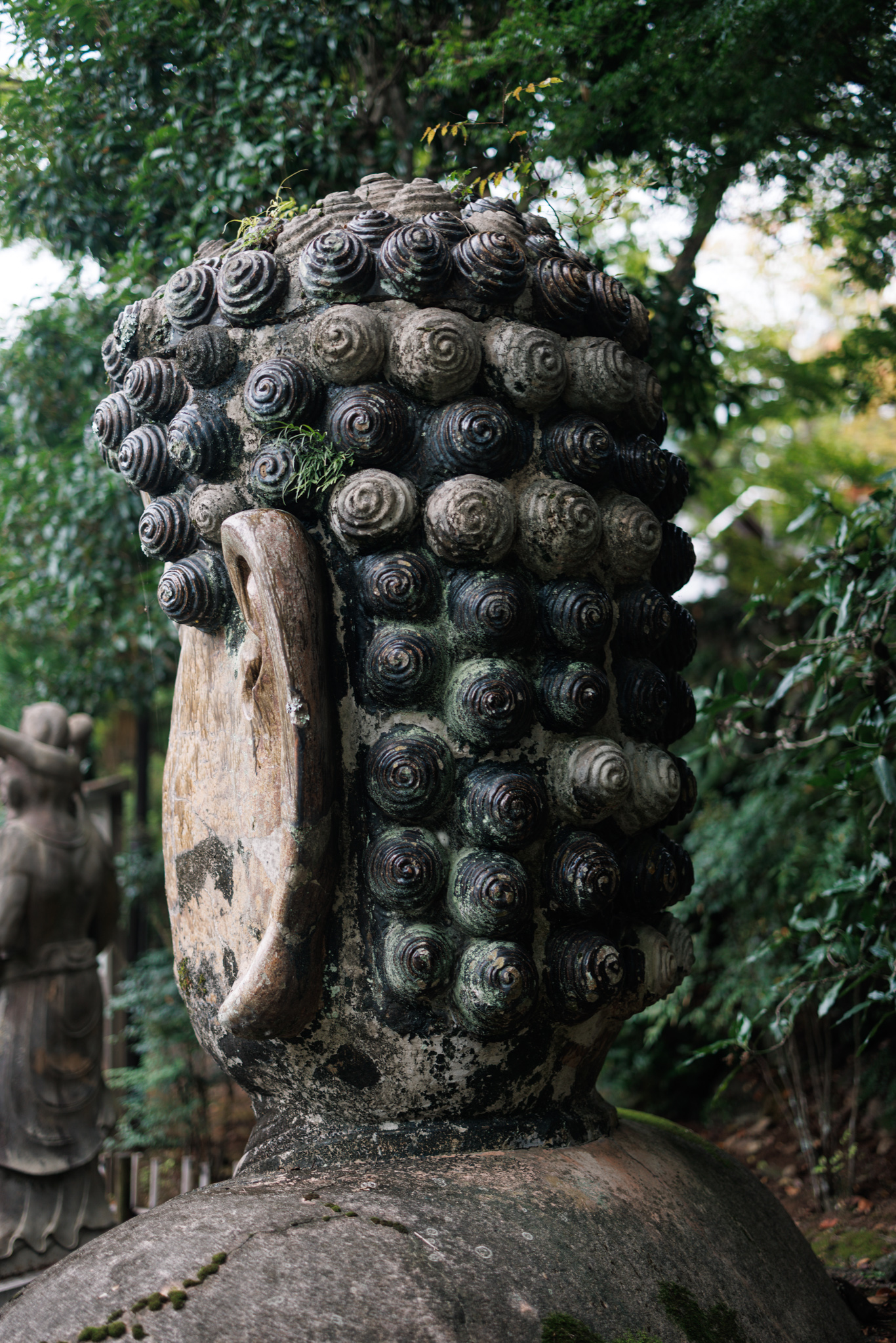 The back of the ceramic Buddha’s head, covered in rows of spiral curls, with a long, thick ear at the side and a rounded base below