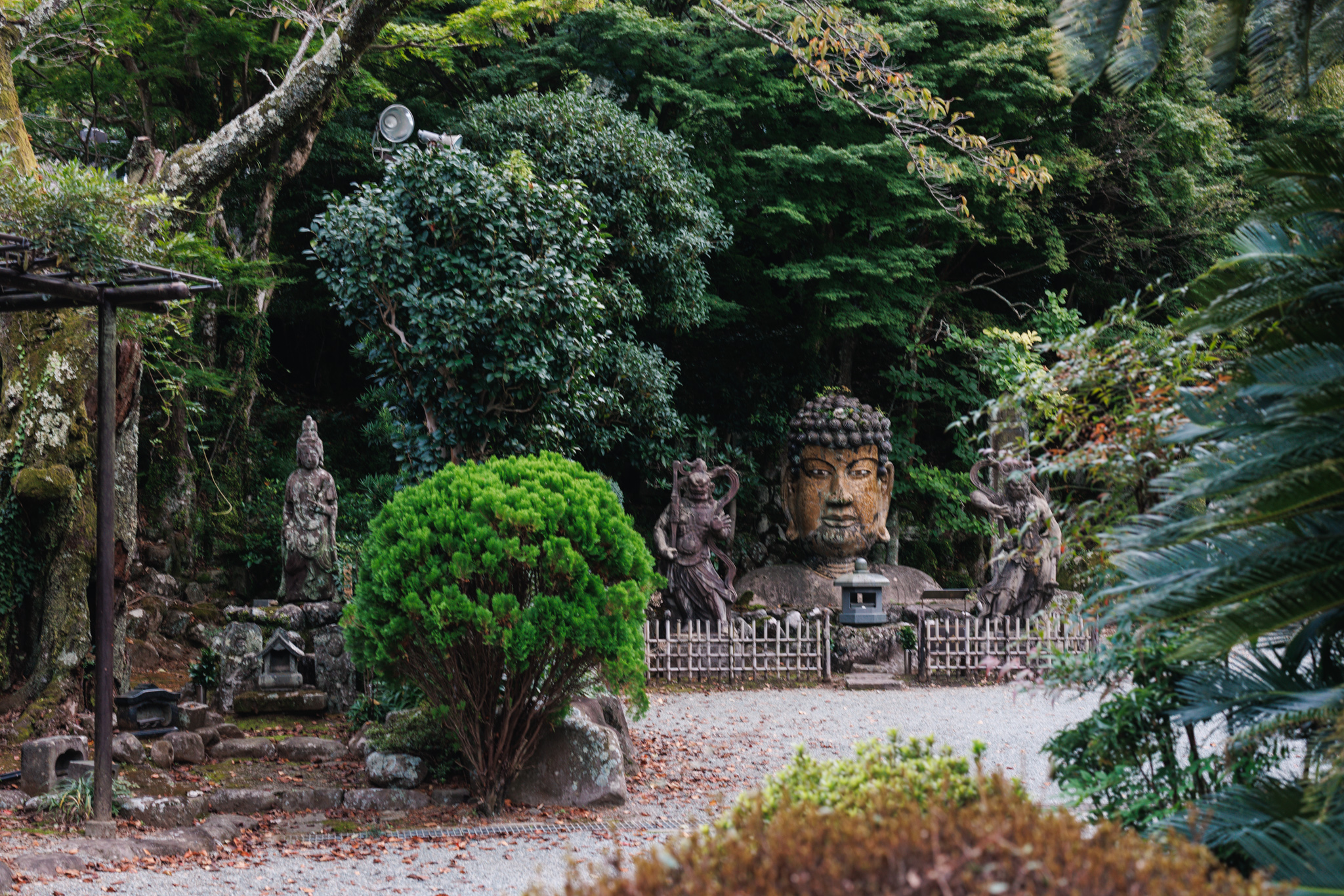 A view along a gravel garden path past a clipped round shrub to the Buddha head and its guardians in the distance, among trees and other figures