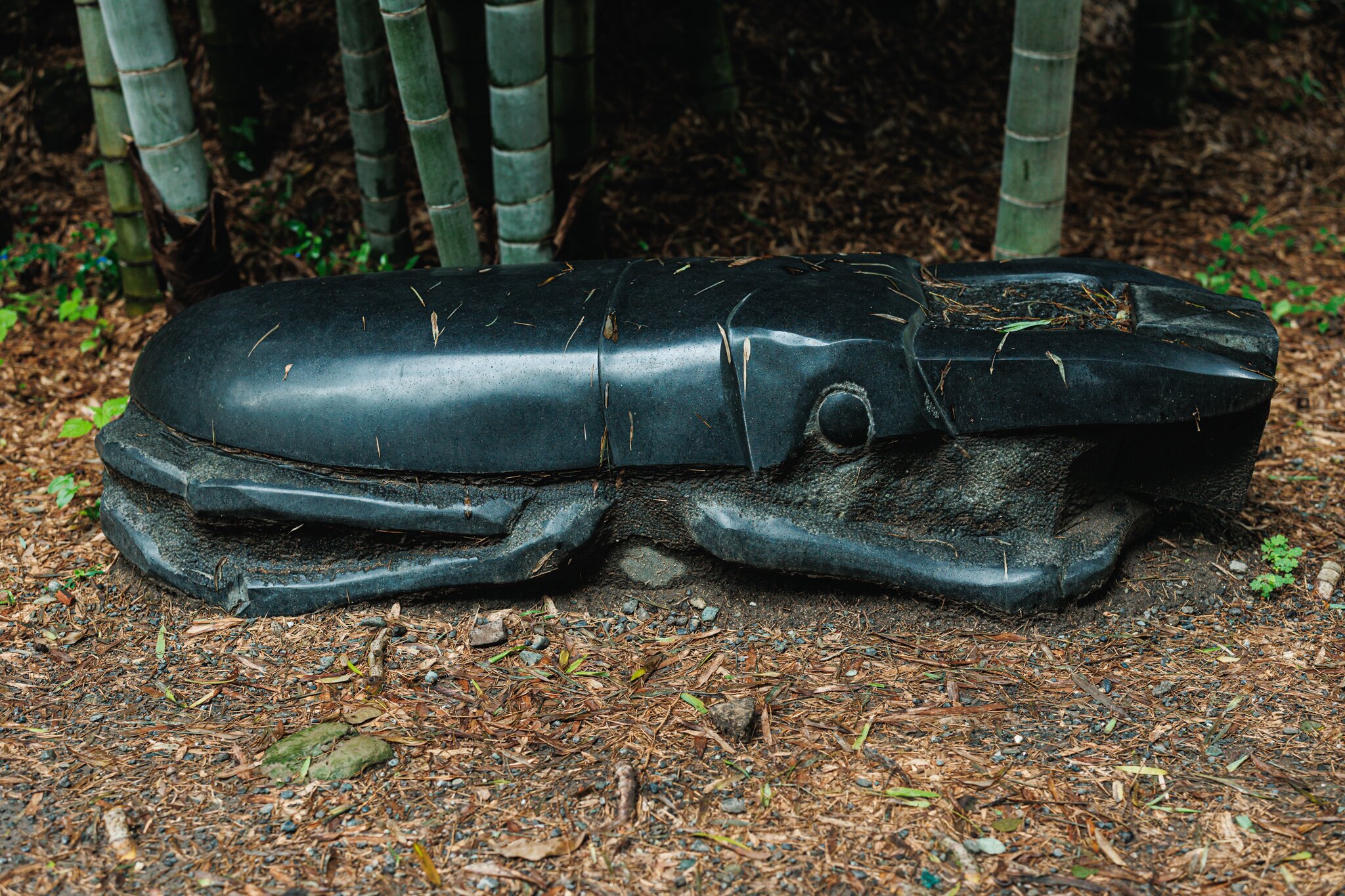 Close view of a polished black stone stag beetle with fallen bamboo leaves on its back at Mushizuka, Kenchōji Temple.