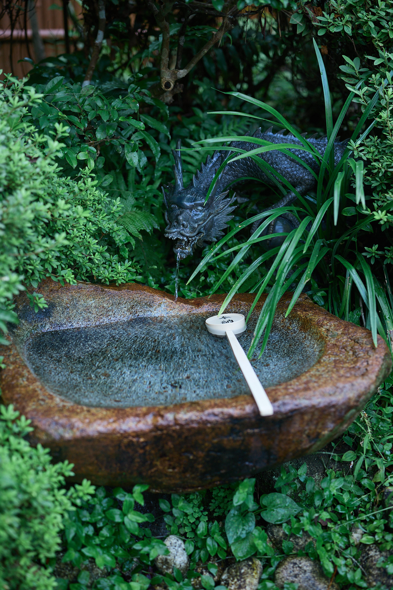 A rough stone basin of water with a white ladle resting across it, surrounded by green plants and a dragon figure behind