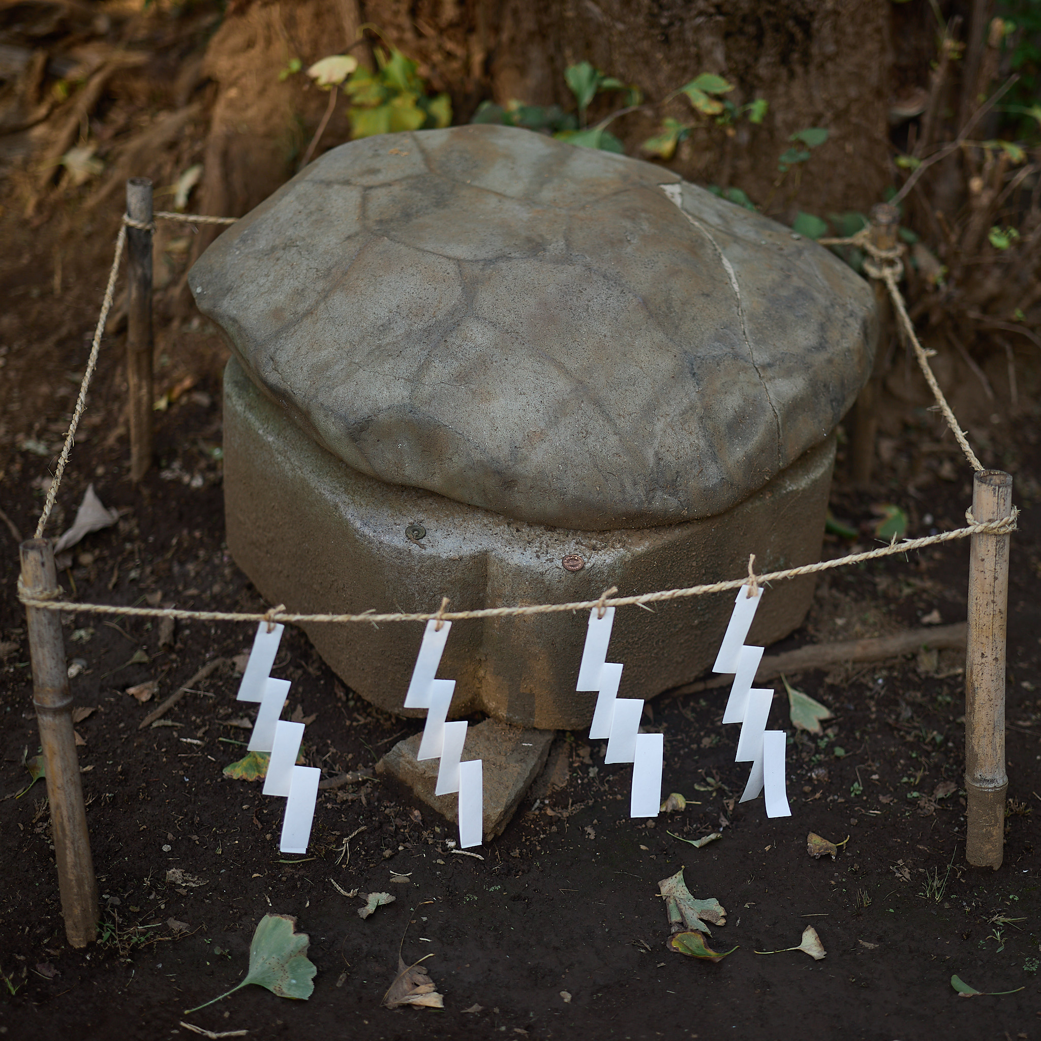 A stone with a pattern of polygonal plates across its top like a turtle shell, on a plinth with coins left on it, inside a rope hung with paper streamers