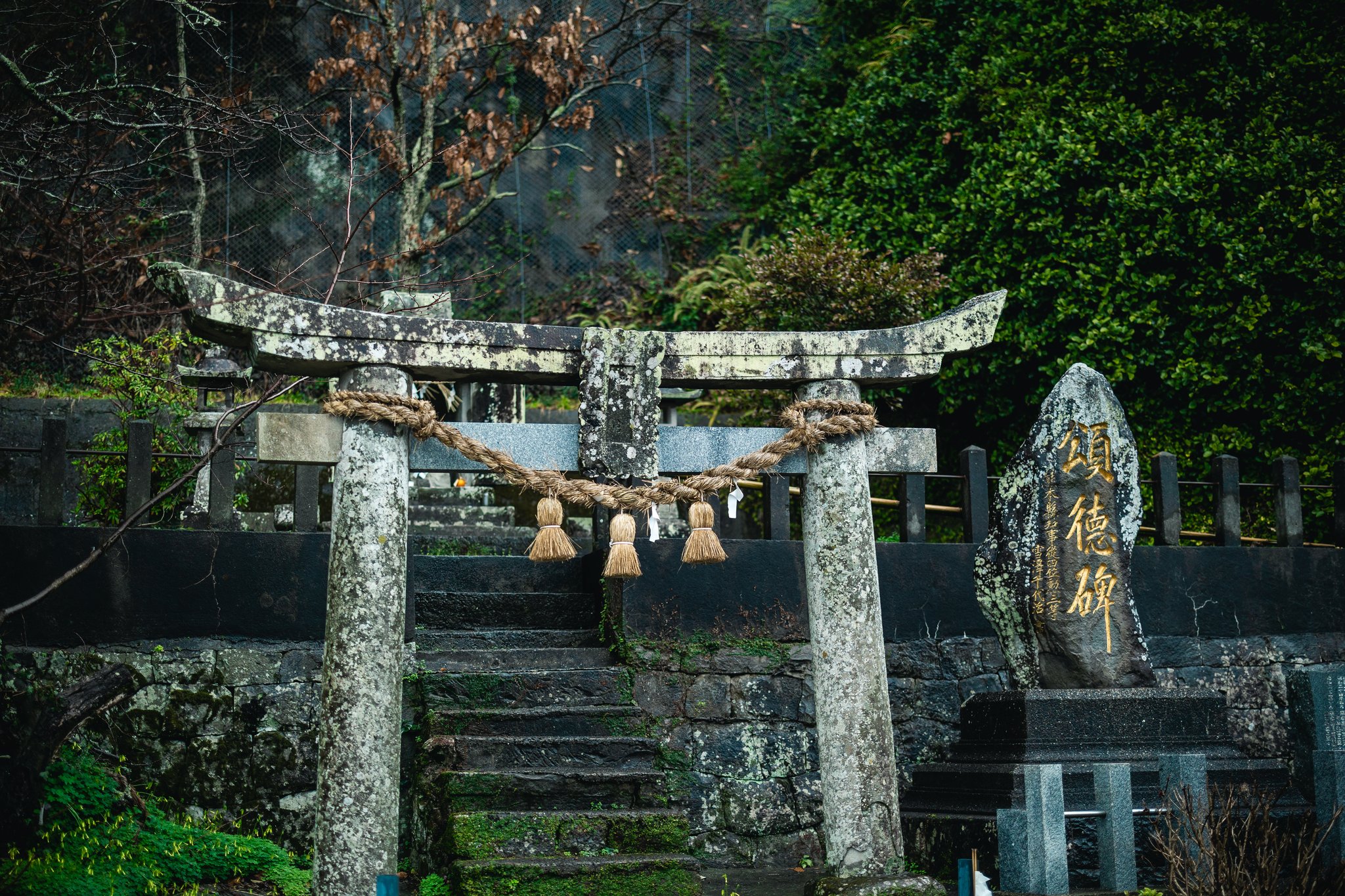 A moss-covered stone torii with a straw rope at the foot of mossy steps at Sakitsu Suwa Shrine, beside a stone monument with gold characters