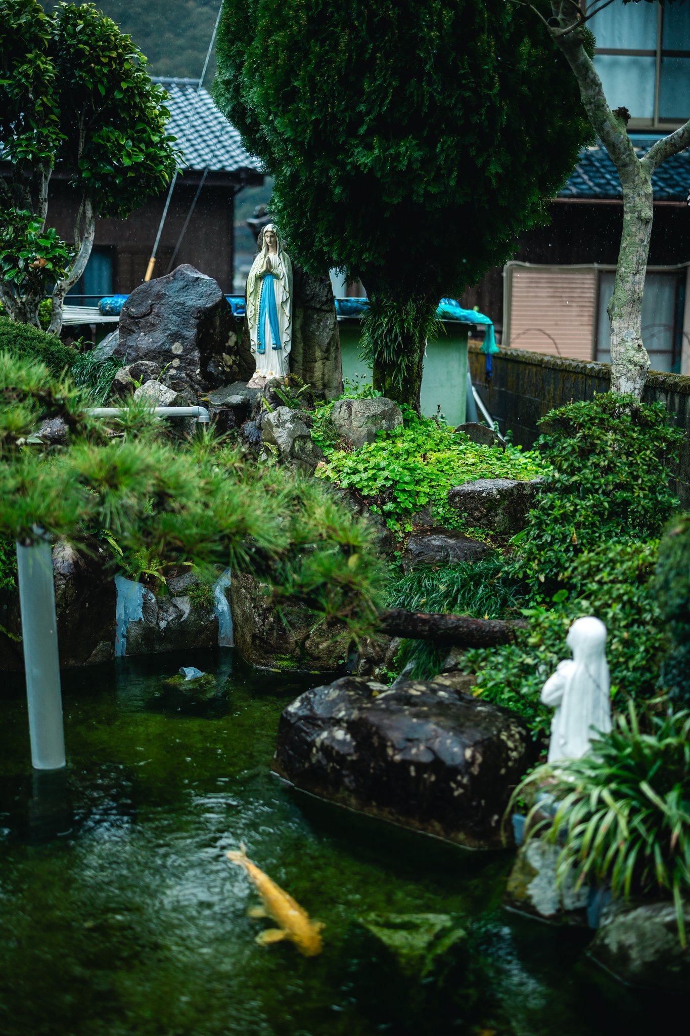 A statue of the Virgin Mary on rocks above a garden pond, with a golden koi in the water