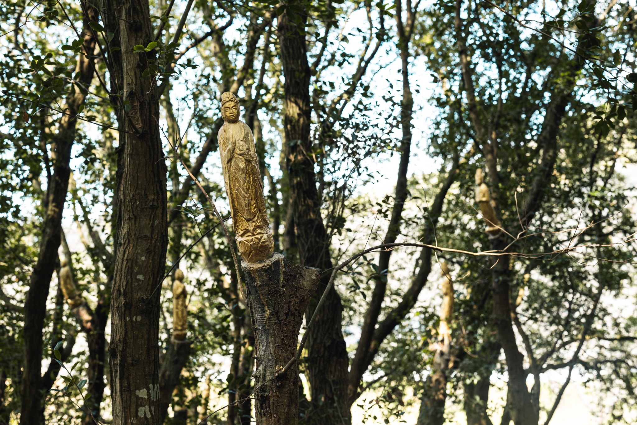 Golden Buddha carved directly into a living tree at Tatzu Butzu in Tsunagi, Kumamoto, with another figure visible deeper in the grove.