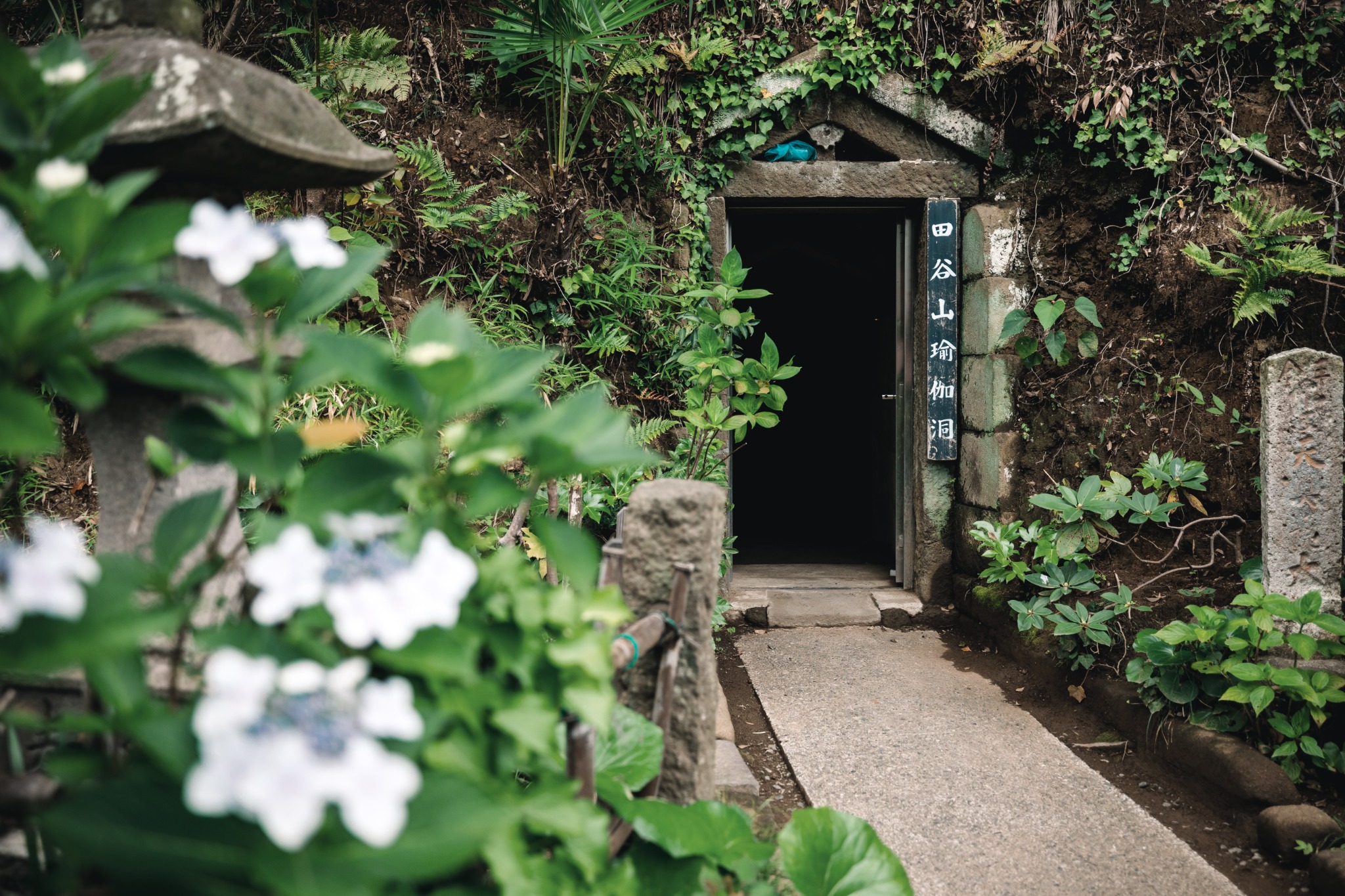 Dark entrance to Taya Cave at Jōsenji Temple, framed by greenery and pale hydrangeas.
